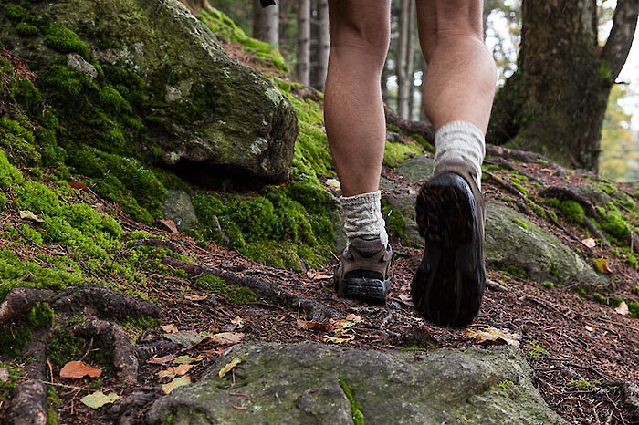 Wandern in Bodenmais Bayerischer Wald